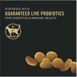 Purina Pro Plan Kitten Chicken & Rice Formula Dry Cat Food -Furry Friends 67911 PT2. AC SS1800 V1649229429