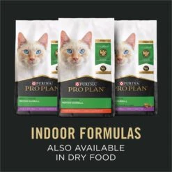 Purina Pro Plan Focus Adult Indoor Care Salmon & Rice Entree In Sauce Canned Cat Food 17 Purina Pro Plan Focus Adult Indoor Care Salmon & Rice Entree In Sauce Canned Cat Food -Furry Friends 67915 PT6. AC SS1800 V1669661435