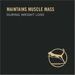 Purina Pro Plan Focus Adult Weight Management Ground Turkey & Rice Entree Canned Cat Food -Furry Friends 67917 PT2. AC SS1800 V1636672305