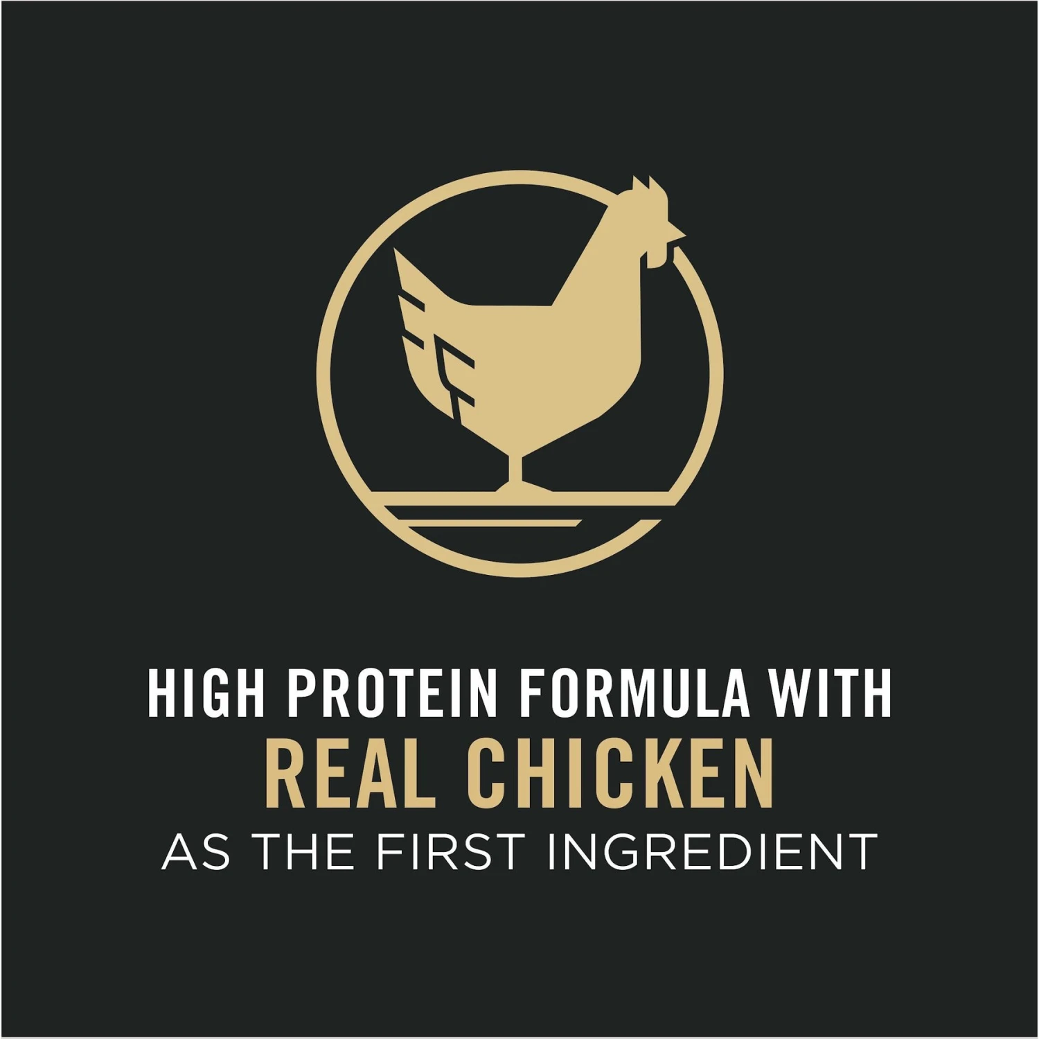 Purina Pro Plan Chicken & Rice Formula With Probiotics High Protein Cat Food 6 Purina Pro Plan Chicken & Rice Formula With Probiotics High Protein Cat Food - Image 4