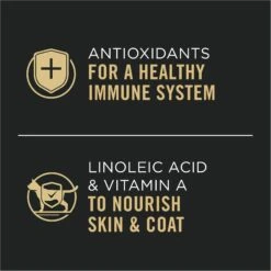 Purina Pro Plan Adult Chicken & Rice Entree In Gravy Canned Cat Food -Furry Friends 67944 PT3. AC SS1800 V1674494920