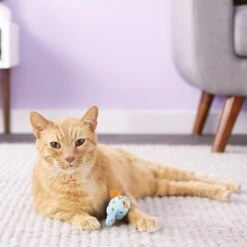 Multipet Look Who's Talking Fish Plush Cat Toy With Catnip -Furry Friends 68013 PT6. AC SS1800 V1527256501