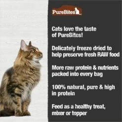 PureBites Turkey Breast Freeze-Dried Raw Cat Treats 13 PureBites Turkey Breast Freeze-Dried Raw Cat Treats -Furry Friends 68239 PT4. AC SS1800 V1677619104