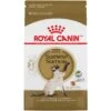 Royal Canin Feline Breed Nutrition Siamese Adult Dry Cat Food -Furry Friends 68395 MAIN. AC SS1800 V1697755325