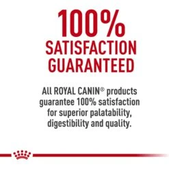 Royal Canin Feline Breed Nutrition Siamese Adult Dry Cat Food 15 Royal Canin Feline Breed Nutrition Siamese Adult Dry Cat Food -Furry Friends 68395 PT6. AC SS1800 V1697753988