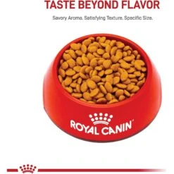 Royal Canin Feline Breed Nutrition Persian Adult Dry Cat Food -Furry Friends 68397 PT1. AC SS1800 V1696280411