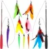 SunGrow Feather Teaser Wand & Fishing Pole Interactive Toy For Indoor Cat & Dog, 11 Count 1 SunGrow Feather Teaser Wand & Fishing Pole Interactive Toy For Indoor Cat & Dog, 11 Count -Furry Friends 684822 MAIN. AC SS1800 V1694454599
