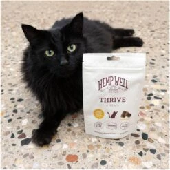 Hemp Well Thrive Skin & Coat Soft Chew Supplement For Cats, 60 Count -Furry Friends 685198 PT3. AC SS1800 V1700689846
