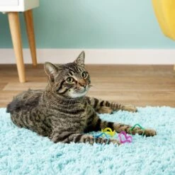 Fat Cat Crazies Playrings Cat Toy 9 Fat Cat Crazies Playrings Cat Toy -Furry Friends 68548 PT5. AC SS1800 V1525719550