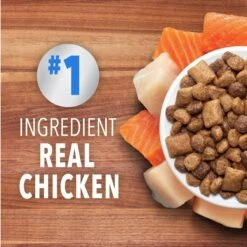 Iams Proactive Health Healthy Enjoyment Immune Support Chicken & Salmon Adult Dry Cat Food -Furry Friends 690790 PT2. AC SS1800 V1667342835