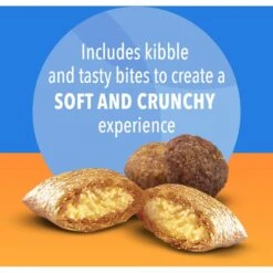 Iams Proactive Health Healthy Enjoyment Immune Support Chicken & Salmon Adult Dry Cat Food -Furry Friends 690790 PT4. AC SS1800 V1667356112