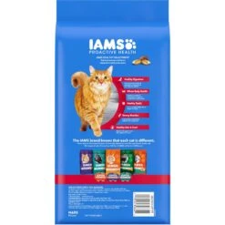 Iams Proactive Health Healthy Enjoyment Immune Support Chicken & Beef Adult Dry Cat Food -Furry Friends 690830 PT1. AC SS1800 V1667355618