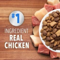 Iams Proactive Health Healthy Enjoyment Immune Support Chicken & Beef Adult Dry Cat Food -Furry Friends 690830 PT2. AC SS1800 V1667353480