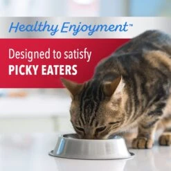 Iams Proactive Health Healthy Enjoyment Immune Support Chicken & Beef Adult Dry Cat Food -Furry Friends 690830 PT3. AC SS1800 V1667341974