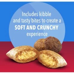 Iams Proactive Health Healthy Enjoyment Immune Support Chicken & Beef Adult Dry Cat Food -Furry Friends 690830 PT4. AC SS1800 V1667353831