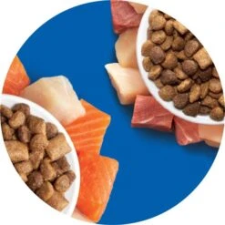 Iams Proactive Health Healthy Enjoyment Immune Support Chicken & Beef Adult Dry Cat Food -Furry Friends 690830 PT8. AC SS1800 V1667343237