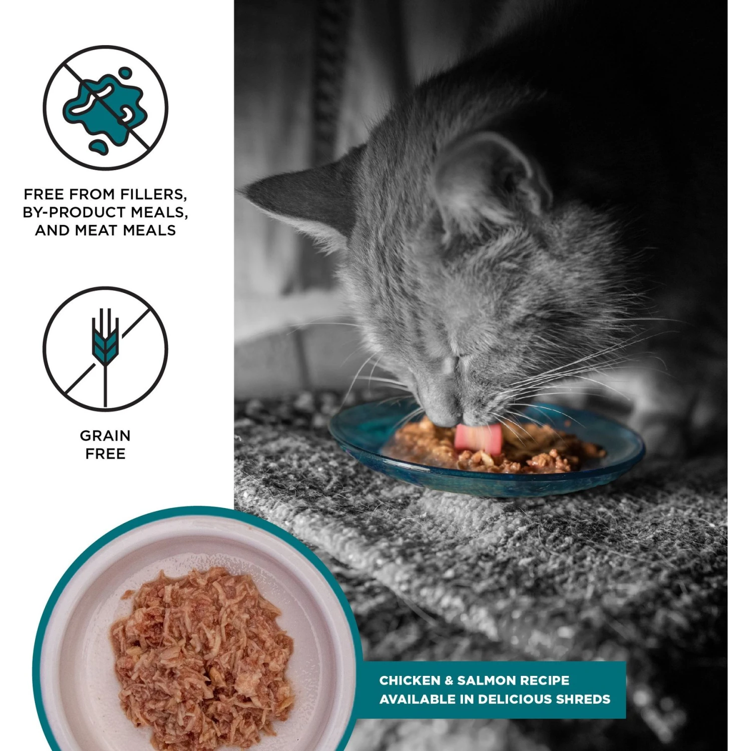 BIXBI Liberty Chicken & Salmon Recipe In Broth Grain-Free Wet Cat Food, 2.75-oz Can, Case Of 24 4 BIXBI Liberty Chicken & Salmon Recipe In Broth Grain-Free Wet Cat Food, 2.75-oz Can, Case Of 24 - Image 2