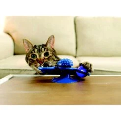 Pets Know Best Purrfect Spinner Cat Toy, Blue -Furry Friends 691606 PT2. AC SS1800 V1667519297
