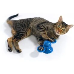 Pets Know Best Purrfect Spinner Cat Toy, Blue -Furry Friends 691606 PT4. AC SS1800 V1667518400