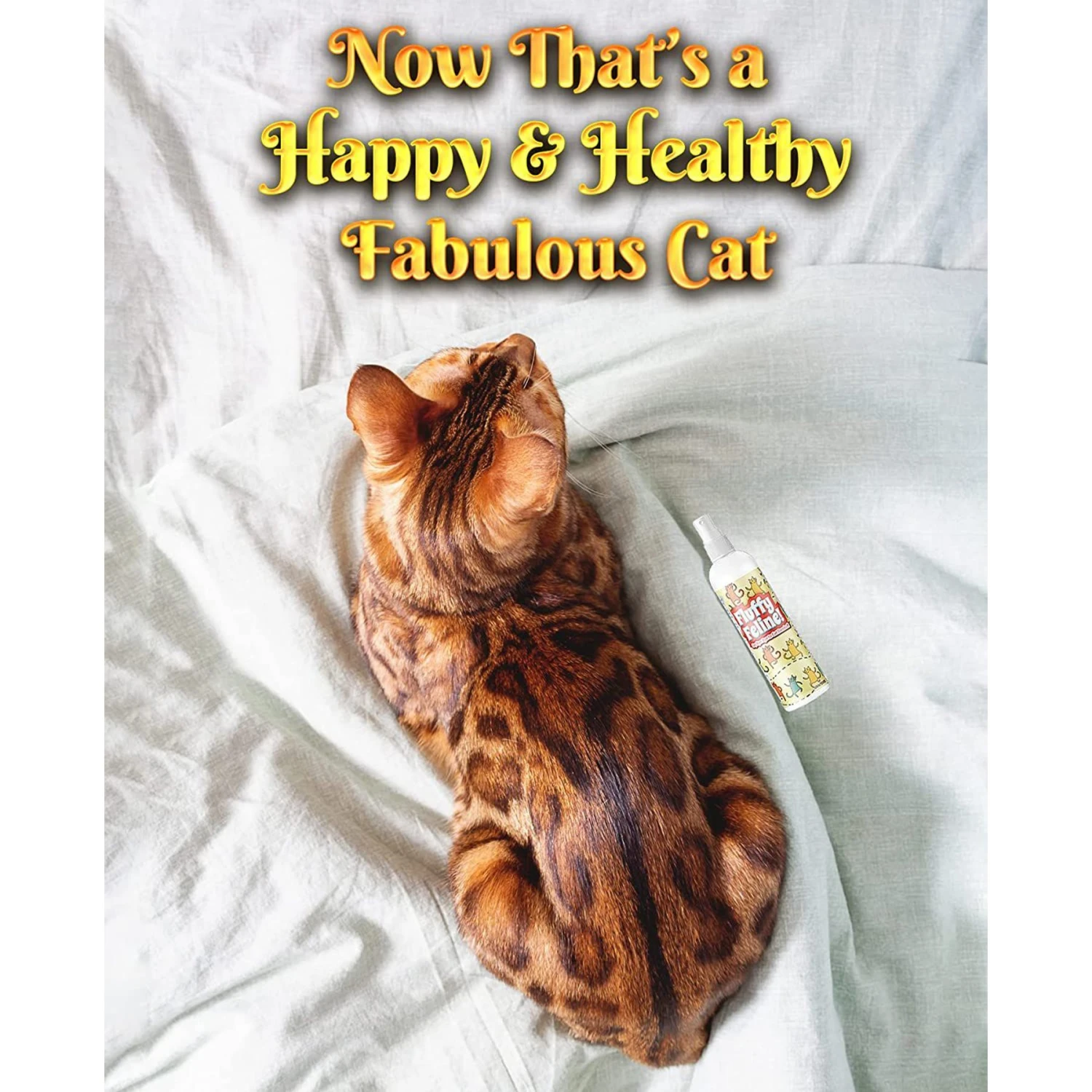 Pet MasterMind Fluffy Feline Cat Dandruff Care Spray, 8-oz Bottle 7 Pet MasterMind Fluffy Feline Cat Dandruff Care Spray, 8-oz Bottle - Image 5