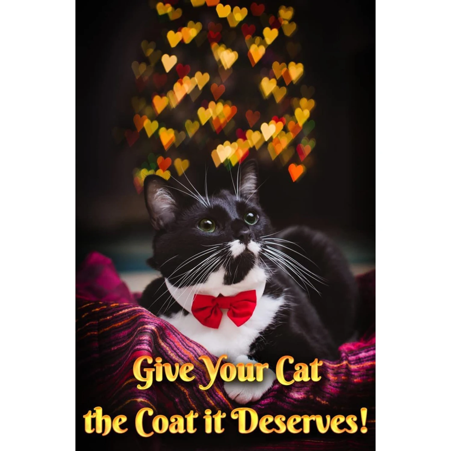 Pet MasterMind Fluffy Feline Cat Dandruff Care Spray, 8-oz Bottle 9 Pet MasterMind Fluffy Feline Cat Dandruff Care Spray, 8-oz Bottle - Image 7