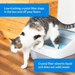 PetSafe ScoopFree Premium Crystal Litter 2-Pack & PetSafe ScoopFree Complete Reusable Litter Tray 13 PetSafe ScoopFree Premium Crystal Litter 2-Pack & PetSafe ScoopFree Complete Reusable Litter Tray -Furry Friends 694158 PT2. AC SS1800 V1668532511