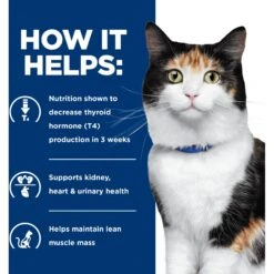 Hill's Prescription Diet Y/d Thyroid Care Original Flavor Dry Cat Food 14 Hill's Prescription Diet Y/d Thyroid Care Original Flavor Dry Cat Food -Furry Friends 69818 PT3. AC SS1800 V1651178544