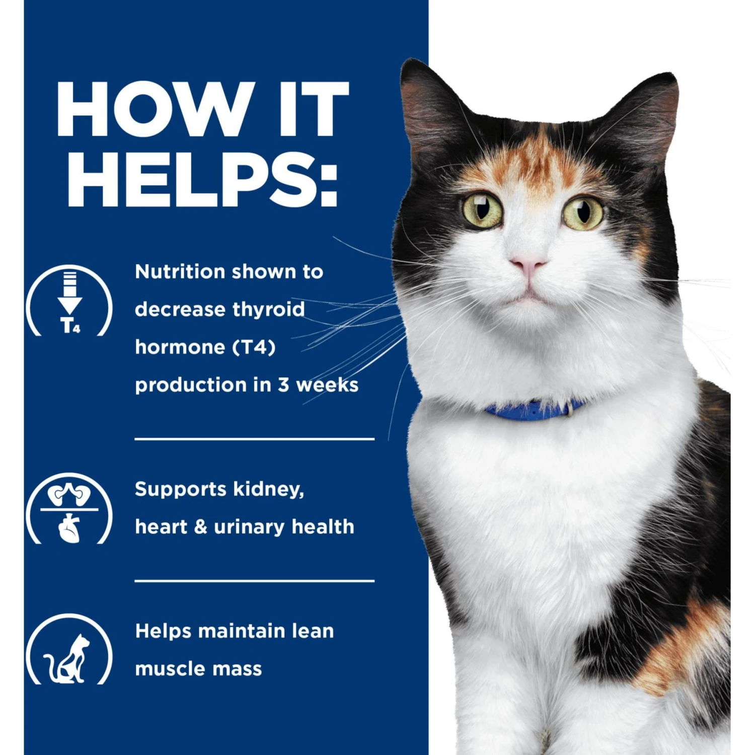 Hill's Prescription Diet Y/d Thyroid Care Original Flavor Dry Cat Food 6 Hill's Prescription Diet Y/d Thyroid Care Original Flavor Dry Cat Food - Image 4