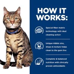 Hill's Prescription Diet T/d Dental Care Chicken Flavor Dry Cat Food -Furry Friends 69828 PT5. AC SS1800 V1650994886