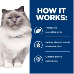 Hill's Prescription Diet R/d Weight Reduction Chicken Flavor Dry Cat Food 16 Hill's Prescription Diet R/d Weight Reduction Chicken Flavor Dry Cat Food -Furry Friends 69835 PT5. AC SS1800 V1688073706