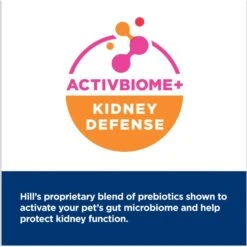 Hill's Prescription Diet K/d Kidney Care With Chicken Dry Cat Food 13 Hill's Prescription Diet K/d Kidney Care With Chicken Dry Cat Food -Furry Friends 69842 PT2. AC SS1800 V1691776100