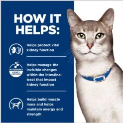 Hill's Prescription Diet K/d Kidney Care With Chicken Wet Cat Food 16 Hill's Prescription Diet K/d Kidney Care With Chicken Wet Cat Food -Furry Friends 69844 PT5. AC SS1800 V1691772508