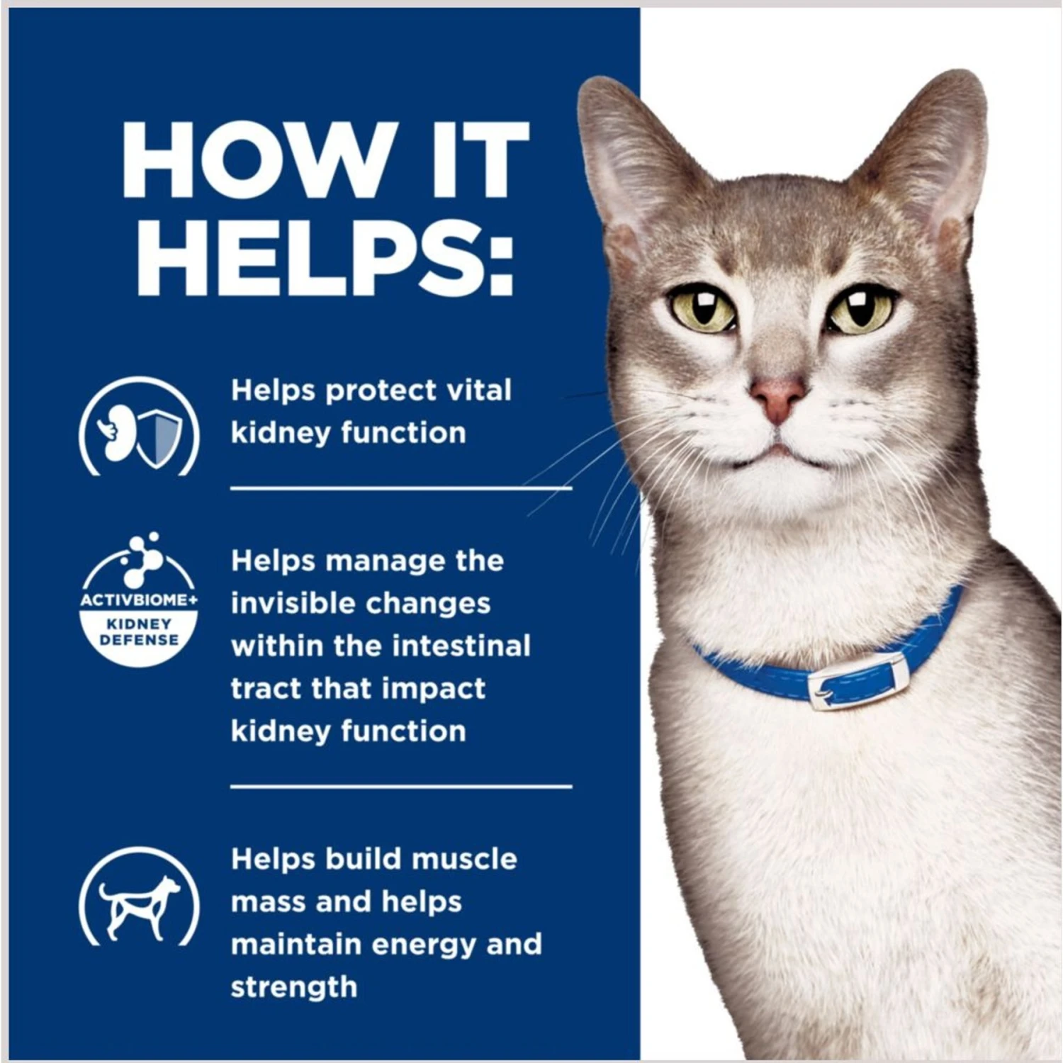 Hill's Prescription Diet K/d Kidney Care With Chicken Wet Cat Food 8 Hill's Prescription Diet K/d Kidney Care With Chicken Wet Cat Food - Image 6