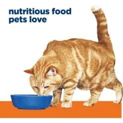 Hill's Prescription Diet C/d Multicare Urinary Care With Chicken Wet Cat Food -Furry Friends 69865 PT3. AC SS1800 V1651202505