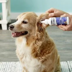 Zymox Veterinary Strength Dog & Cat Ear Cleanser -Furry Friends 69877 PT3. AC SS1800 V1543009543