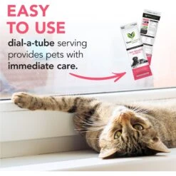 VetriScience Fast Balance G.I. Paste Medication For Digestive Issues For Cats & Dogs -Furry Friends 69917 PT4. AC SS1800 V1659634992