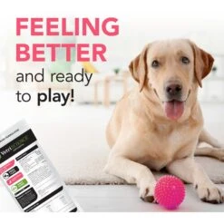 VetriScience Fast Balance G.I. Paste Medication For Digestive Issues For Cats & Dogs -Furry Friends 69917 PT5. AC SS1800 V1659634820