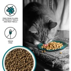 BIXBI Liberty Indoor Health Chicken & Salmon Recipe Grain-Free Dry Cat Food -Furry Friends 703718 PT2. AC SS1800 V1667863358