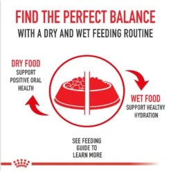 Royal Canin Feline Breed Nutrition Ragdoll Adult Dry Cat Food, 7-lb Bag -Furry Friends 70383 PT2. AC SS1800 V1696345453