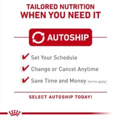 Royal Canin Feline Breed Nutrition Ragdoll Adult Dry Cat Food, 7-lb Bag -Furry Friends 70383 PT3. AC SS1800 V1696345452