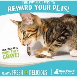 Raw Paws Freeze-Dried Smelt Minnows Dog & Cat Treats -Furry Friends 703910 PT5. AC SS1800 V1667948491
