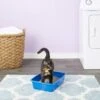 Van Ness Cat Litter Pan, Blue -Furry Friends 70438 MAIN. AC SS1800 V1565284453