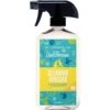 Aunt Fannie's Cleaning Vinegar Bright Lemon Scented Cat Cleaner, 16.9-oz Bottle -Furry Friends 705310 MAIN. AC SS1800 V1668197079
