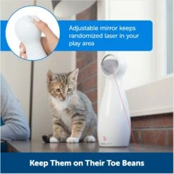 PetSafe Bolt Interactive Laser Cat Toy -Furry Friends 70843 PT4. AC SS1800 V1676318575