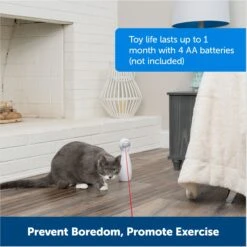 PetSafe Bolt Interactive Laser Cat Toy -Furry Friends 70843 PT5. AC SS1800 V1676317808