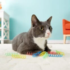 Ethical Pet Thin Colorful Springs Cat Toy -Furry Friends 71298 PT8. AC SS1800 V1506968409