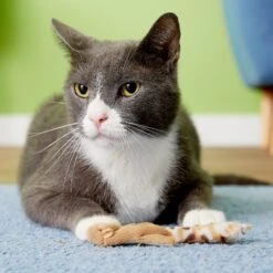 Ethical Pet Skinneeez Forest Creature Stuffing-Free Plush Cat Toy With Catnip, Color Varies -Furry Friends 71305 PT8. AC SS1800 V1503351701