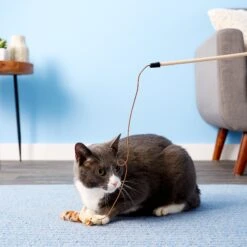 Ethical Pet Skinneeez Friend Teaser Wand Cat Toy With Catnip -Furry Friends 71317 PT5. AC SS1800 V1525718914