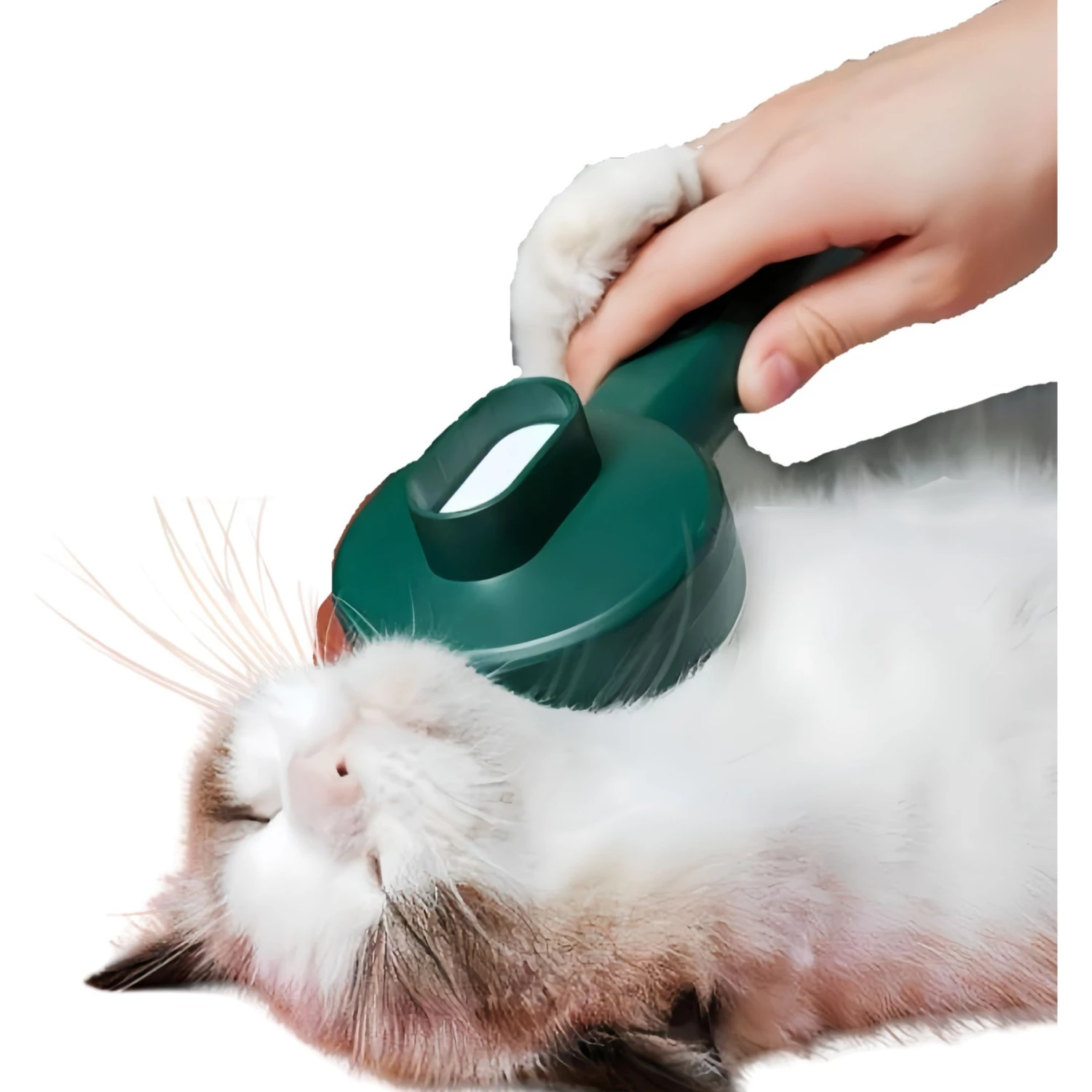 Fido Fave Self-Cleaning UV Sterilization Cat Slicker Brush, Green, Medium 3 Fido Fave Self-Cleaning UV Sterilization Cat Slicker Brush, Green, Medium