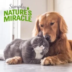 Simply Nature's Miracle Pet Stain & Odor Remover -Furry Friends 716518 PT7. AC SS1800 V1669681455